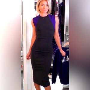 Victoria Beckham SOLD OUT Bodycon Dress with Signature Back Zip US Size 8